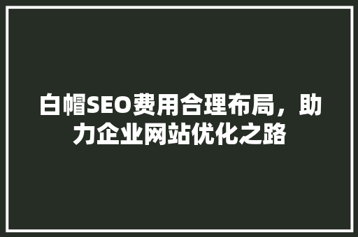 白帽SEO费用合理布局，助力企业网站优化之路