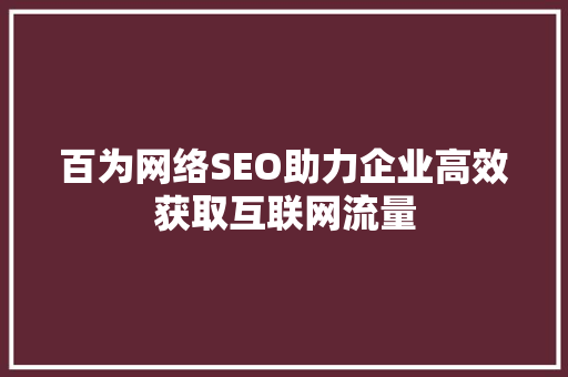 百为网络SEO助力企业高效获取互联网流量