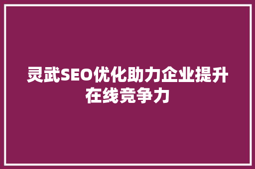 灵武SEO优化助力企业提升在线竞争力