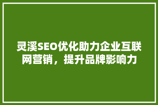 灵溪SEO优化助力企业互联网营销，提升品牌影响力