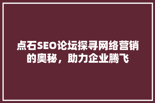 点石SEO论坛探寻网络营销的奥秘，助力企业腾飞