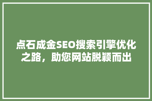 点石成金SEO搜索引擎优化之路，助您网站脱颖而出