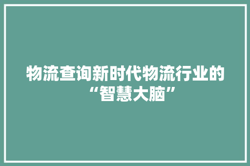 物流查询新时代物流行业的“智慧大脑”