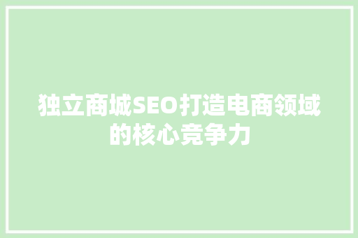 独立商城SEO打造电商领域的核心竞争力