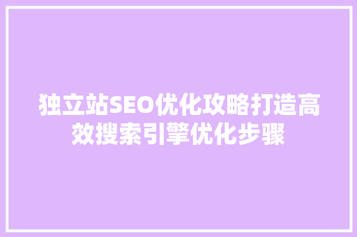 独立站SEO优化攻略打造高效搜索引擎优化步骤