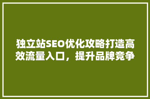 独立站SEO优化攻略打造高效流量入口，提升品牌竞争力