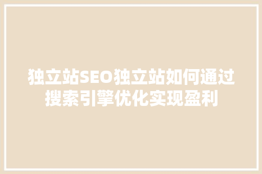 独立站SEO独立站如何通过搜索引擎优化实现盈利