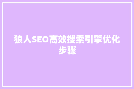 狼人SEO高效搜索引擎优化步骤