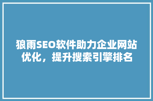 狼雨SEO软件助力企业网站优化，提升搜索引擎排名