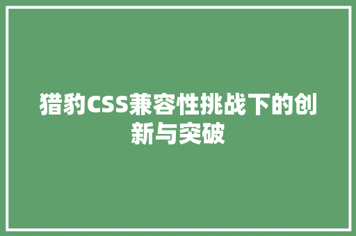 猎豹CSS兼容性挑战下的创新与突破