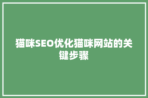 猫咪SEO优化猫咪网站的关键步骤