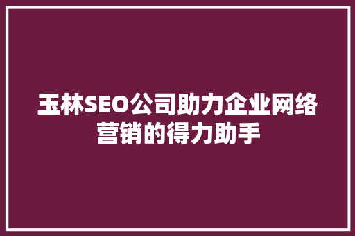 玉林SEO公司助力企业网络营销的得力助手