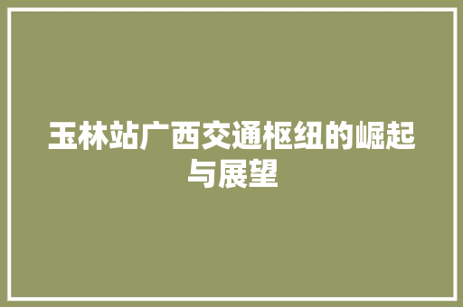 玉林站广西交通枢纽的崛起与展望