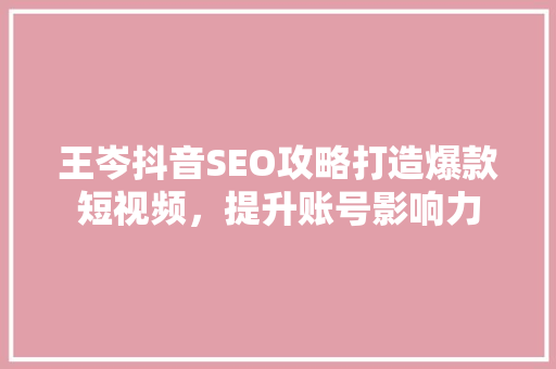 王岑抖音SEO攻略打造爆款短视频，提升账号影响力