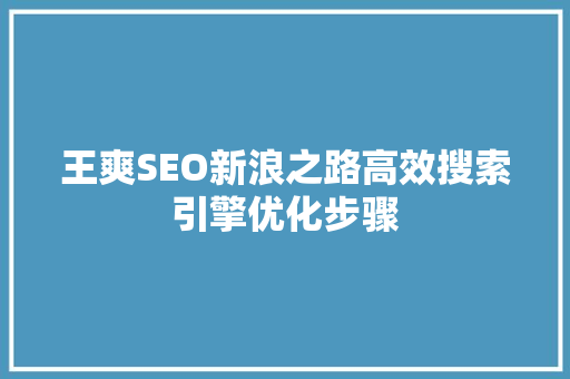 王爽SEO新浪之路高效搜索引擎优化步骤