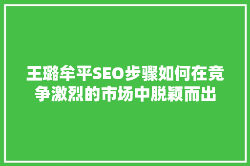 王璐牟平SEO步骤如何在竞争激烈的市场中脱颖而出