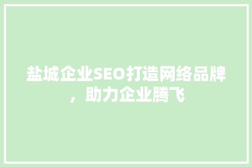 盐城企业SEO打造网络品牌，助力企业腾飞