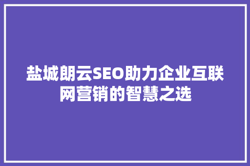 盐城朗云SEO助力企业互联网营销的智慧之选