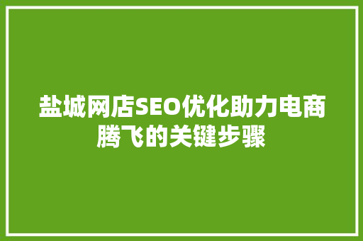 盐城网店SEO优化助力电商腾飞的关键步骤