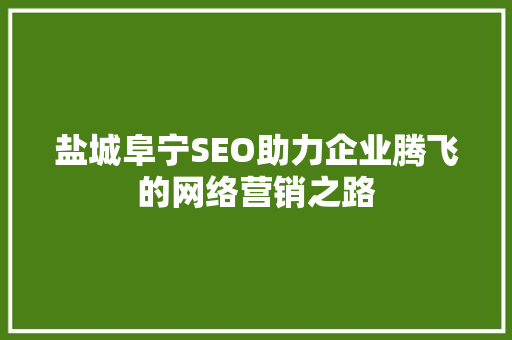 盐城阜宁SEO助力企业腾飞的网络营销之路