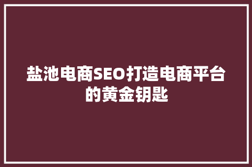 盐池电商SEO打造电商平台的黄金钥匙