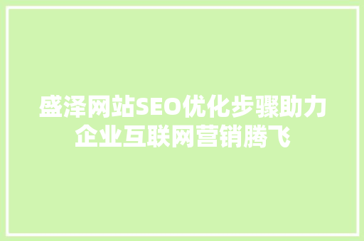 盛泽网站SEO优化步骤助力企业互联网营销腾飞