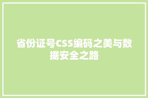 省份证号CSS编码之美与数据安全之路