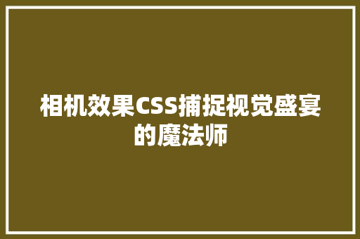 相机效果CSS捕捉视觉盛宴的魔法师