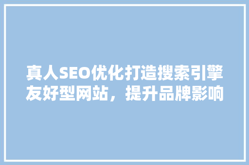 真人SEO优化打造搜索引擎友好型网站，提升品牌影响力