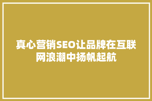 真心营销SEO让品牌在互联网浪潮中扬帆起航