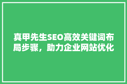 真甲先生SEO高效关键词布局步骤，助力企业网站优化