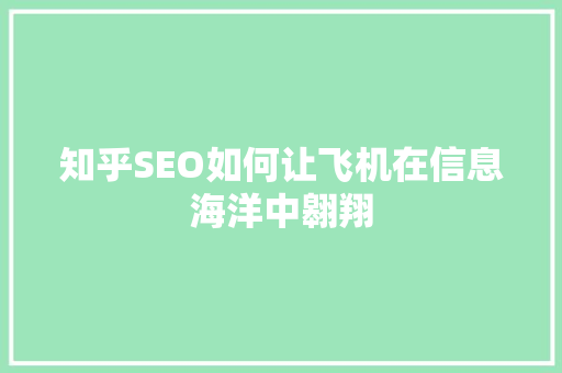 知乎SEO如何让飞机在信息海洋中翱翔