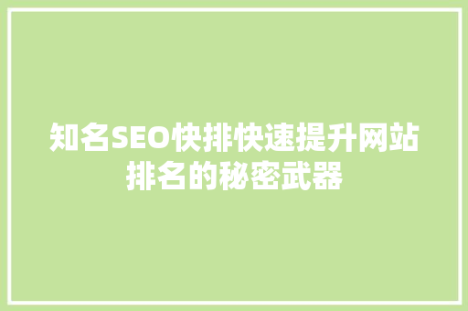 知名SEO快排快速提升网站排名的秘密武器