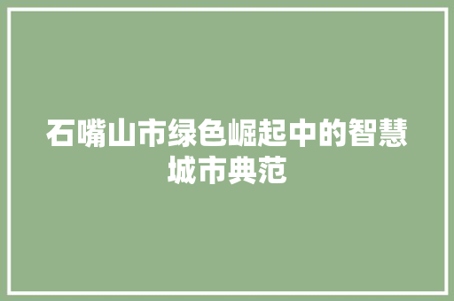 石嘴山市绿色崛起中的智慧城市典范