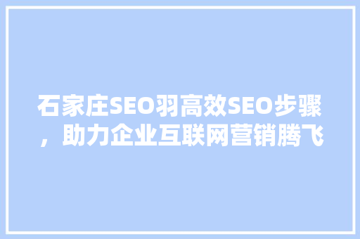 石家庄SEO羽高效SEO步骤，助力企业互联网营销腾飞