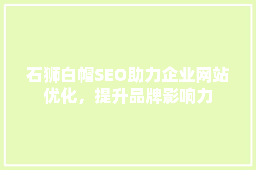 石狮白帽SEO助力企业网站优化，提升品牌影响力