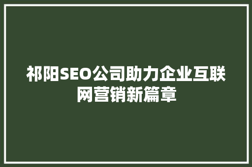 祁阳SEO公司助力企业互联网营销新篇章