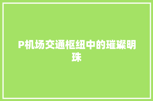 P机场交通枢纽中的璀璨明珠