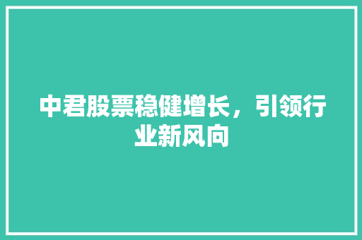 中君股票稳健增长，引领行业新风向