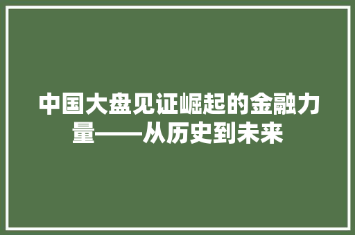 中国大盘见证崛起的金融力量——从历史到未来