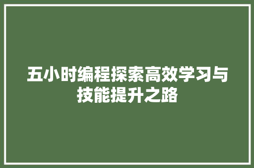 五小时编程探索高效学习与技能提升之路