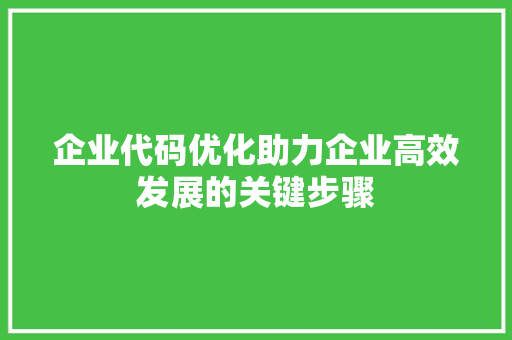 企业代码优化助力企业高效发展的关键步骤