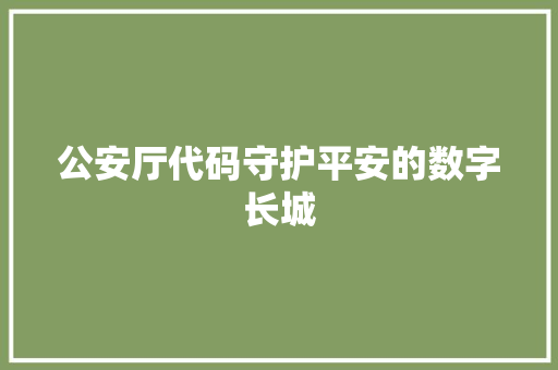 公安厅代码守护平安的数字长城