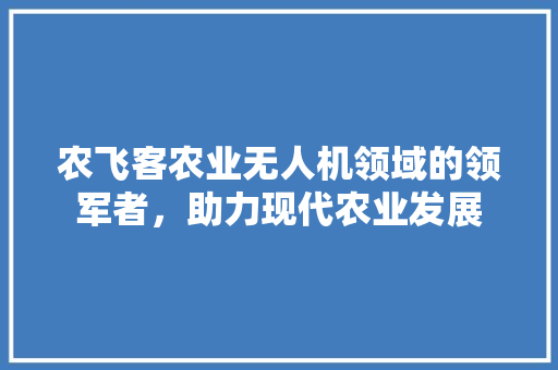 农飞客农业无人机领域的领军者，助力现代农业发展