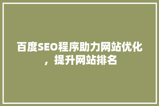 百度SEO程序助力网站优化，提升网站排名