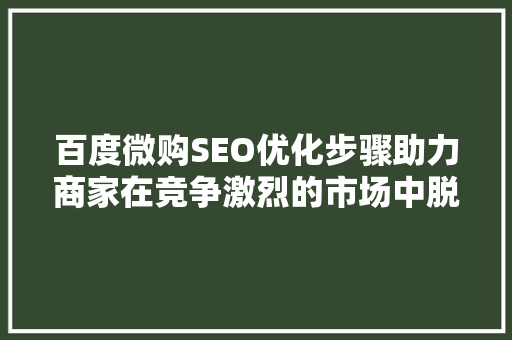 百度微购SEO优化步骤助力商家在竞争激烈的市场中脱颖而出