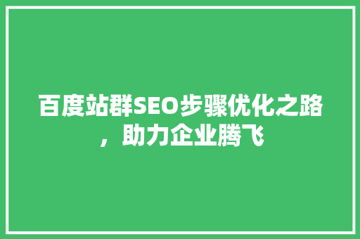 百度站群SEO步骤优化之路，助力企业腾飞