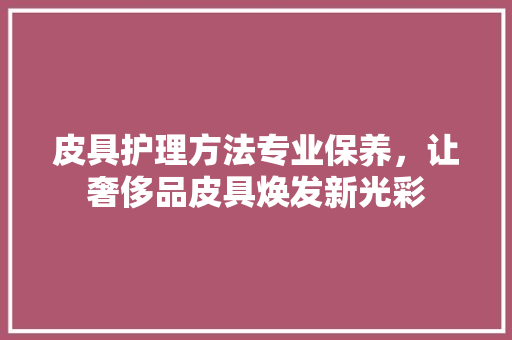 皮具护理方法专业保养，让奢侈品皮具焕发新光彩