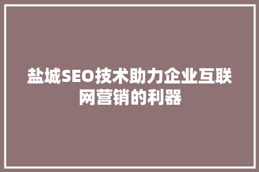 盐城SEO技术助力企业互联网营销的利器