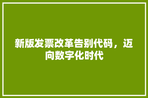 新版发票改革告别代码，迈向数字化时代